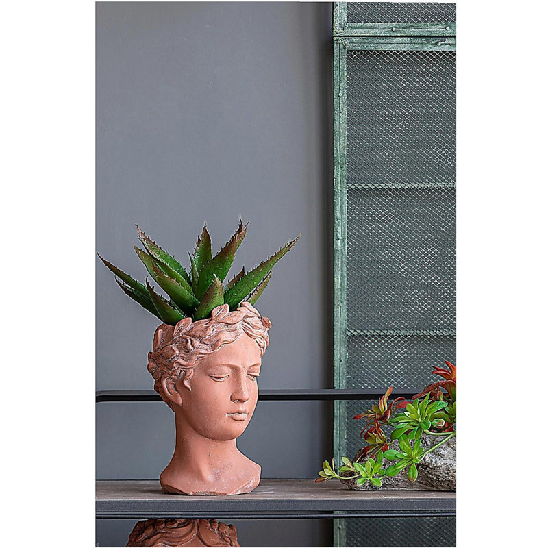 D6x9" Visage Head Bust Planter, Brown, 9.1" H x 6.3" W x 5.9" D