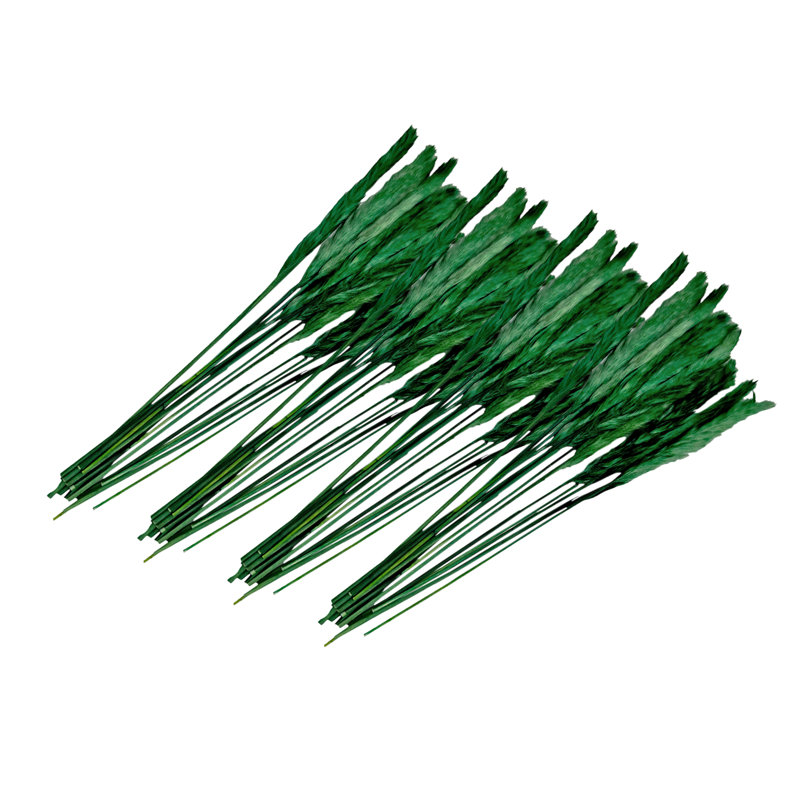 Preserved flowers Small pampass grass, Dark Green