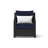 Fionnula Aluminum Outdoor Lounge Chair-21047524