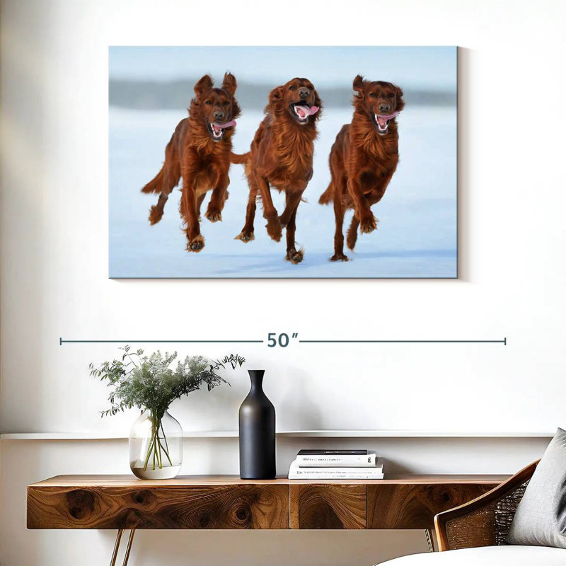 Running Irish Setters