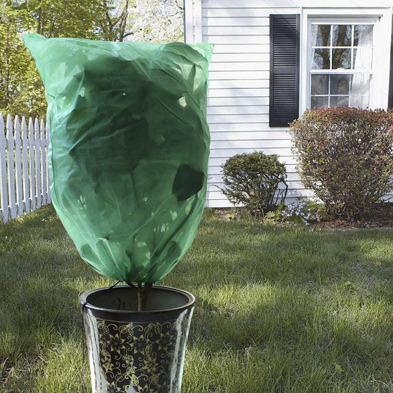 Plant Cover, 140cm W x 200cm D