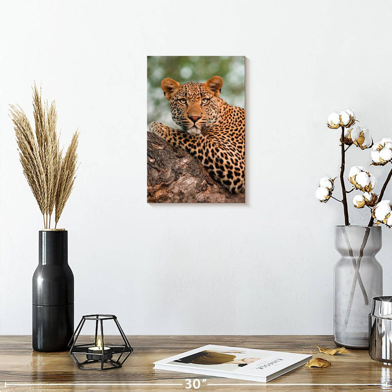 Brampt Striking Leopard, 39" H x 26" W
