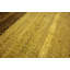 Warminster One-of-a-Kind 4'2" X 5'7" New Age Wool Area Rug in Brown