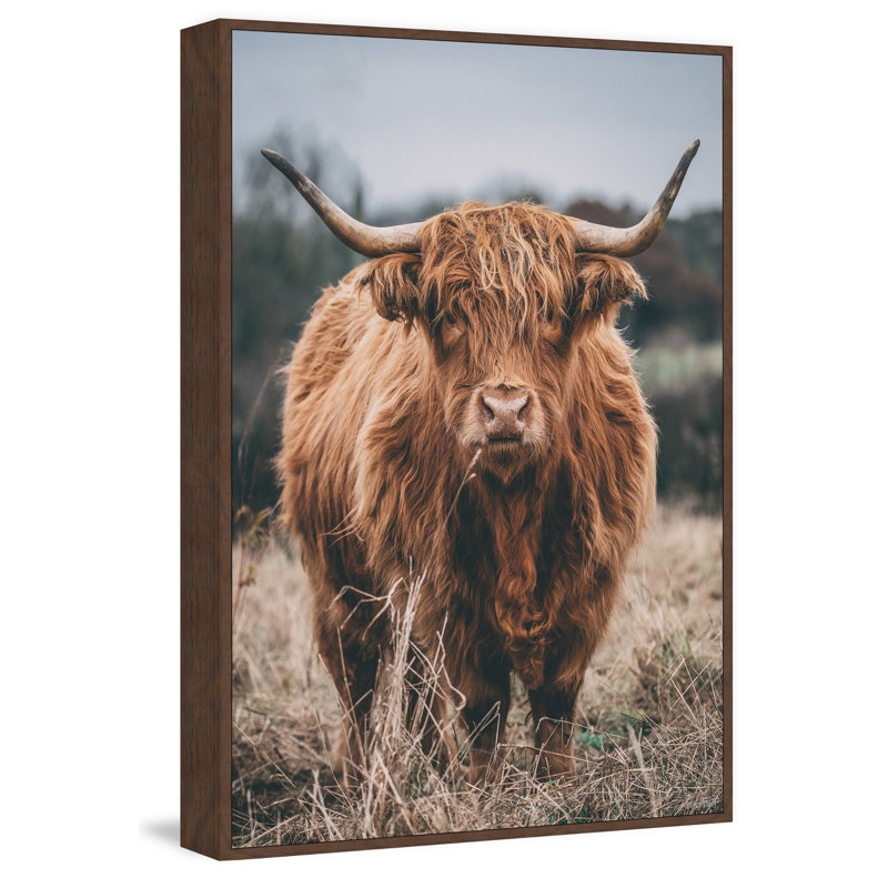 Hairy Coos - Print, Floater Brown Framed Canvas, 45cm H x 45cm W x 3.81cm D