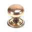 Oval Mushroom Knob-51984239-73711339