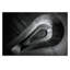 Wrapped Canvas Print-945864491