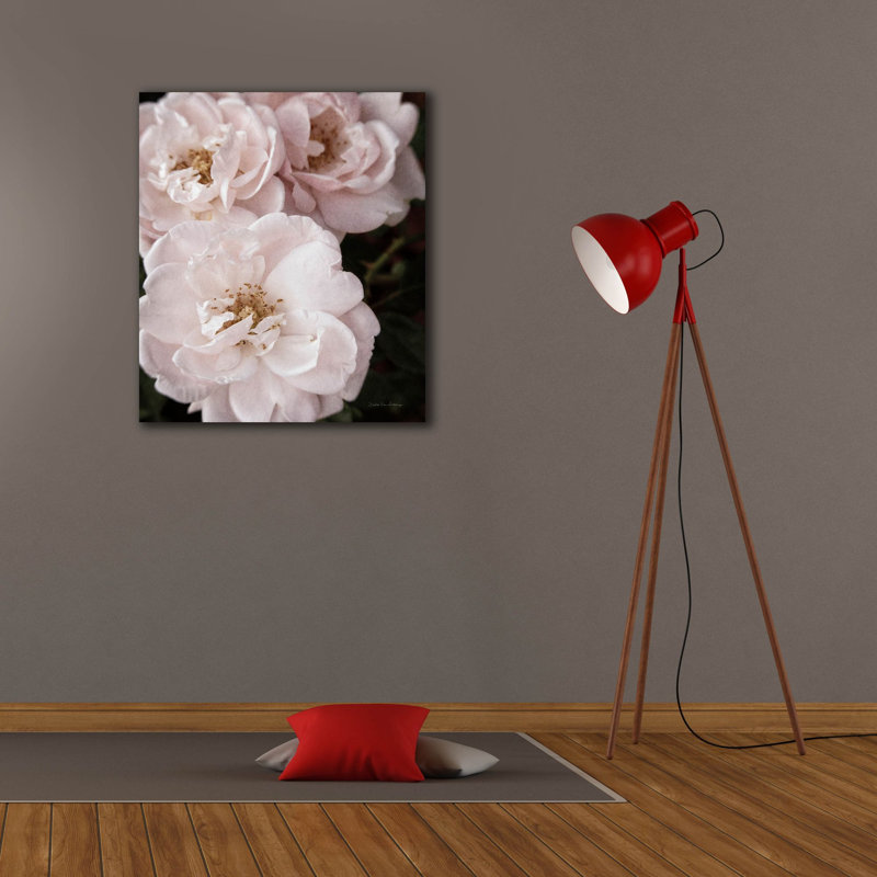 Toile épique Graffiti «Soft Pink Roses 2» par Debra Van Swearingen, 26 po x 30 po
