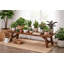 Catelynn Solid Wood 1 Tier Plant Stand-976858741
