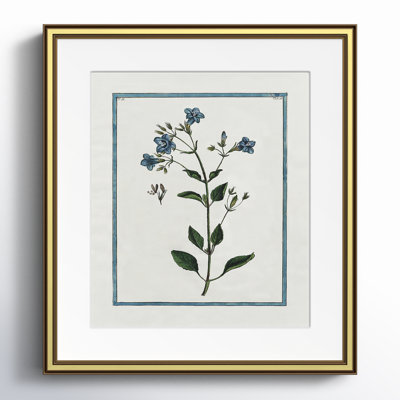 Colombe "Soft Botanical I" Print