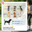 Foldable Dog Stroller with Mesh Windows for Mini Dogs-124409025