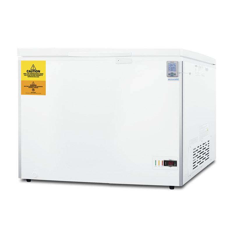 10 Cubic Feet Chest Freezer with Adjustable Temperature Controls
