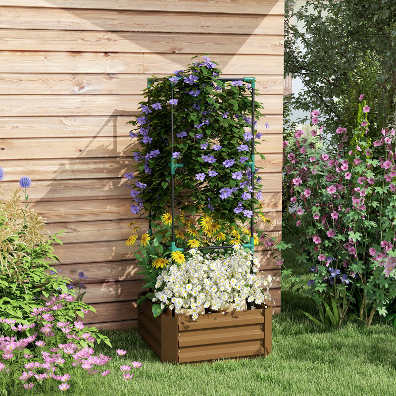 Galvanized Planter Box, 24" X 24" Raised Garden Bed With Tomato Cage For Climbing Vines, Brown, Dark Brown