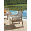 St Tropez Arm Dining Chair