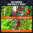 DWC Hydroponic System with Top Drip Kit 4 Buckets