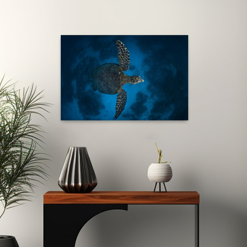 Deep Blue Sea Turtle Peaceful Serene Contemporary Turtle Nature Ocean Wall Art Print 1 Piece Wrapped Canvas Wall Art