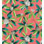 RHODODENDRON - OUTDOOR-283187204