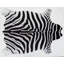 Tapis noir / blanc Robb-28726125