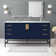 Eugene 60'' Single Bathroom Vanity with Engineered Marble Top