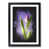 Black Framed selected