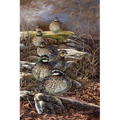 Quail Trail by Carolyn Mock - Wrapped Canvas Art Prints