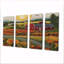 Tournesol champ rouge Bard vert campagne - ferme, art mural 4 pièces-199710112