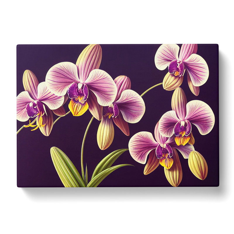 Captivating Orchid Flowers - Wrapped Canvas Painting, 35cm H x 50cm W x 3cm D