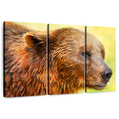 Ours mignon Brampt II