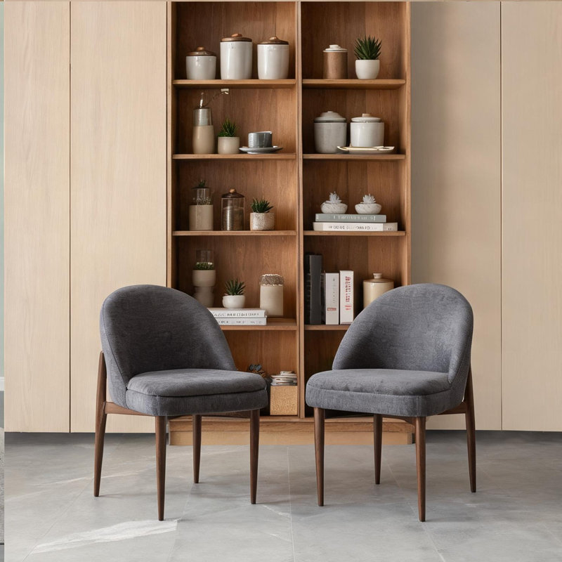 Deux chaises pour l'intérieur, chaises rembourrées pour la maison