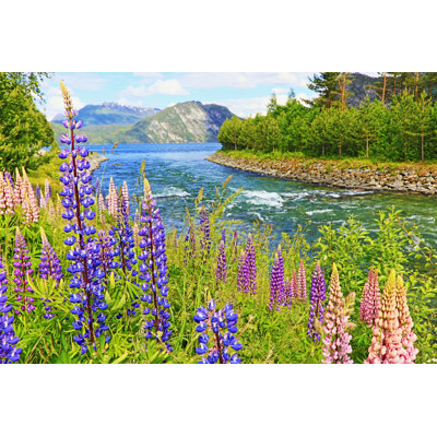 Lupins Flower Flowerbed by Agustavop - Wrapped Canvas Print