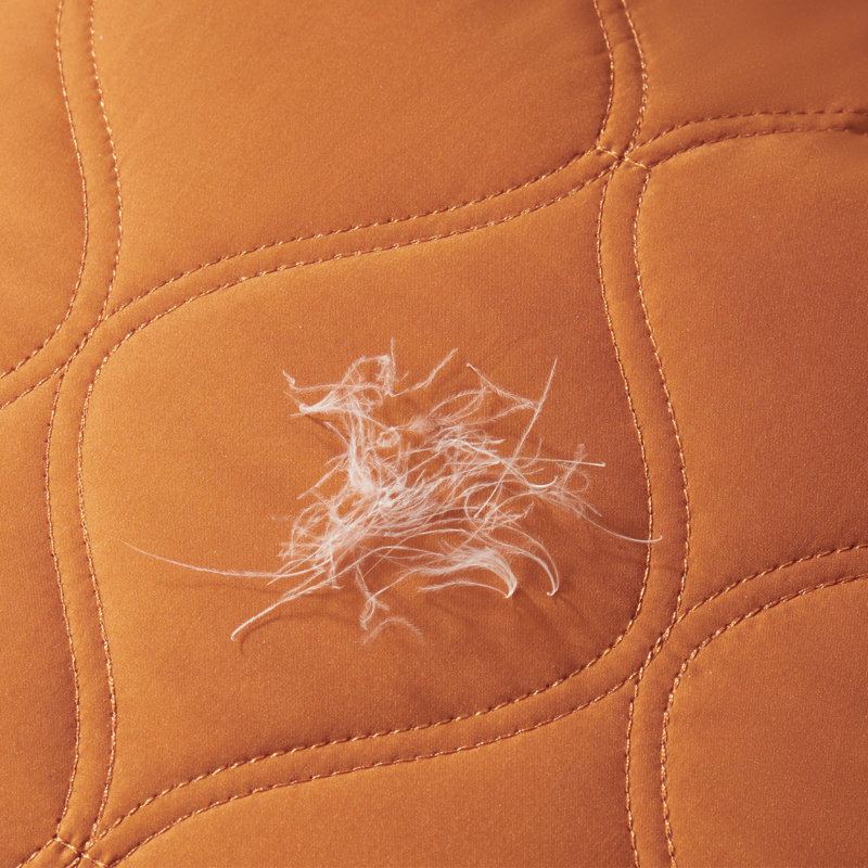 Housse pour canapé à coussins pour animaux de compagnie, Polyester orange