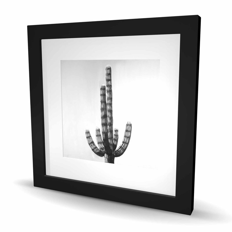 Imprimé matelassé blanc Cactus | Décoration intérieure