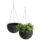 Byrum Plastic Wicker Self-Watering Hanging Planter