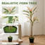 90cm Plant