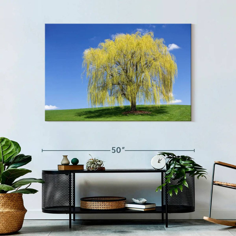 Harnek Spring Weeping Willow, 32" H x 48" W