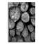 «Logs BW» par Tom Quartermaine-537369921