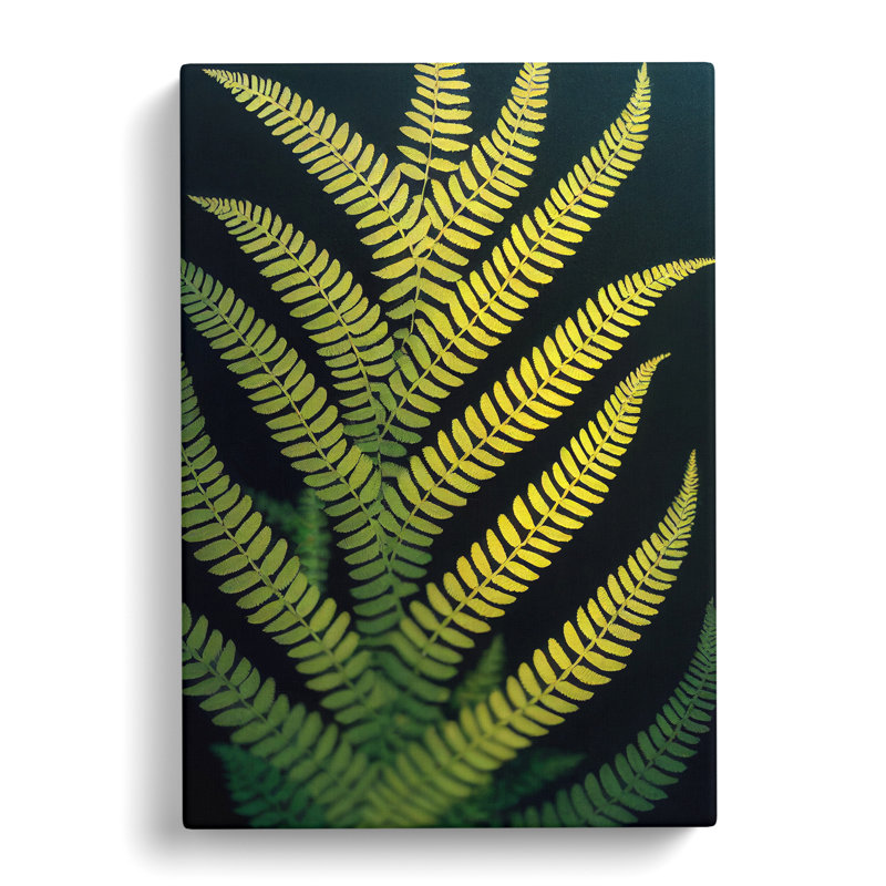 Lalik Fern Leaf View - Wrapped Canvas, 60cm H x 40cm W x 3cm D