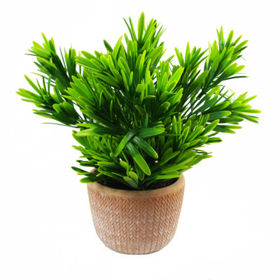 Ananias 22cm Faux Foliage Plant in Terracotta Pot