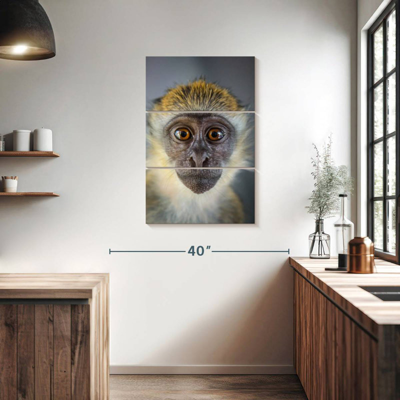 Brampt Vervet Monkey, 38" H x 24" W