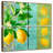 Yarlin Citrus Lemon Floral-109119732