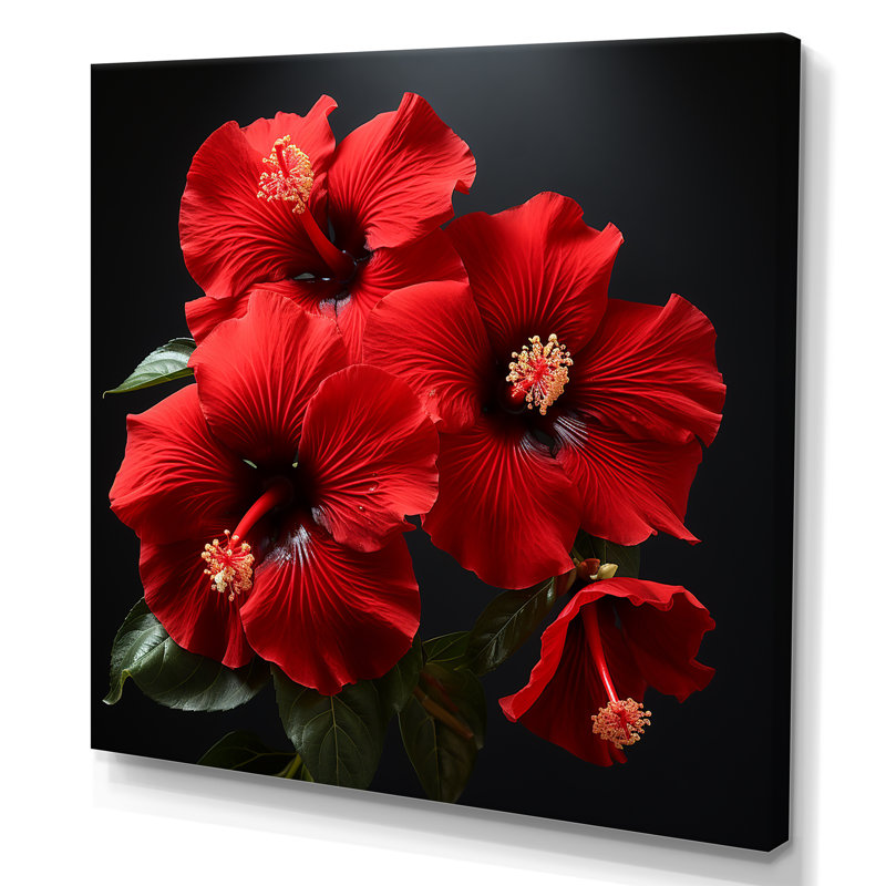 Hibiscus tropical II - Hibiscus, H 36 po x l 36 po x P 1,5 po, Toile tendue