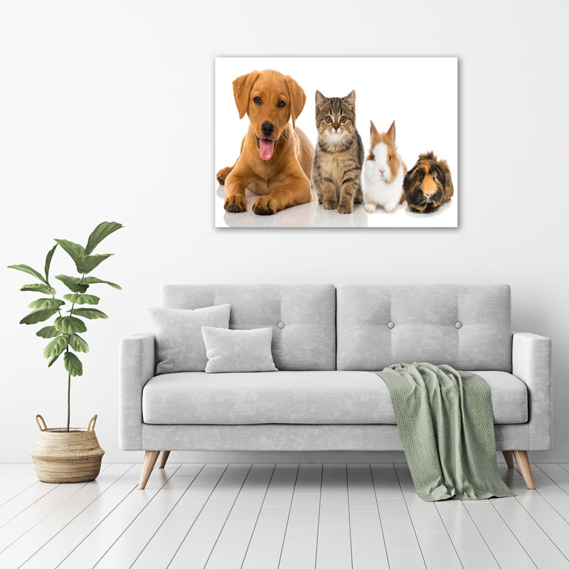 Dog And Cat - Wrapped Canvas Print