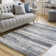 Grajeda Abstract Indoor Rug