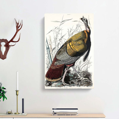 Wild Turkey by John Audubon - Wrapped Canvas