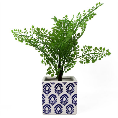Ceramic Cachepot