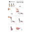 Incanter Crystal Lead Free Crystal Wine Decanter