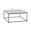 Adryell Frame Coffee Table