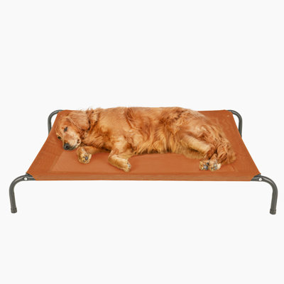 Elevated Cot Pet Bed