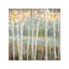 Nature's Palette I by Ruane Manning - Wrapped Canvas Painting-69396603-101336479