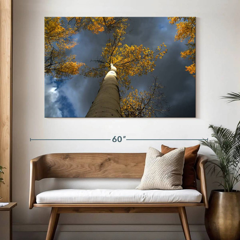 Harnek Aspen Tree Canopy, 34" H x 51" W