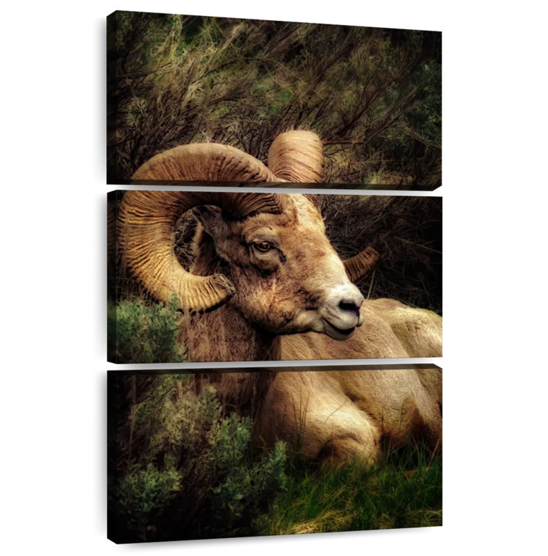 Brampt Yellowstone Bighorn Ram, 38" H x 24" W